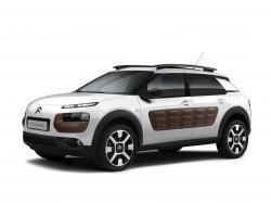 Citroen C4 Cactus 2014 по 2017