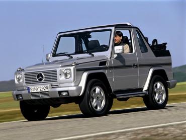 Mercedes-Benz G-klasse II (W463) Рестайлинг  - 2006 по 2008 Внедорожник открытый